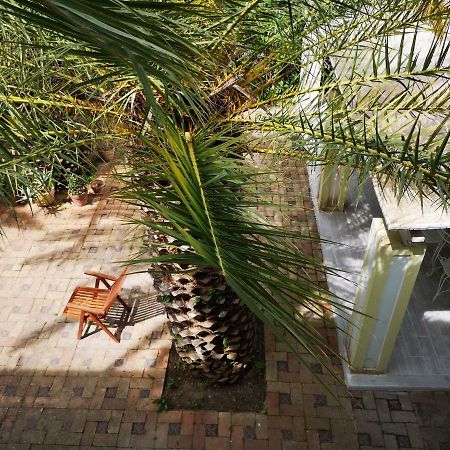 B&B La Salamandra Kitchengarden Forio di Ischia 外观 照片