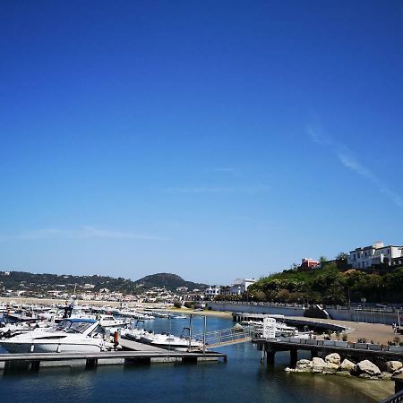 B&B La Salamandra Kitchengarden Forio di Ischia 外观 照片