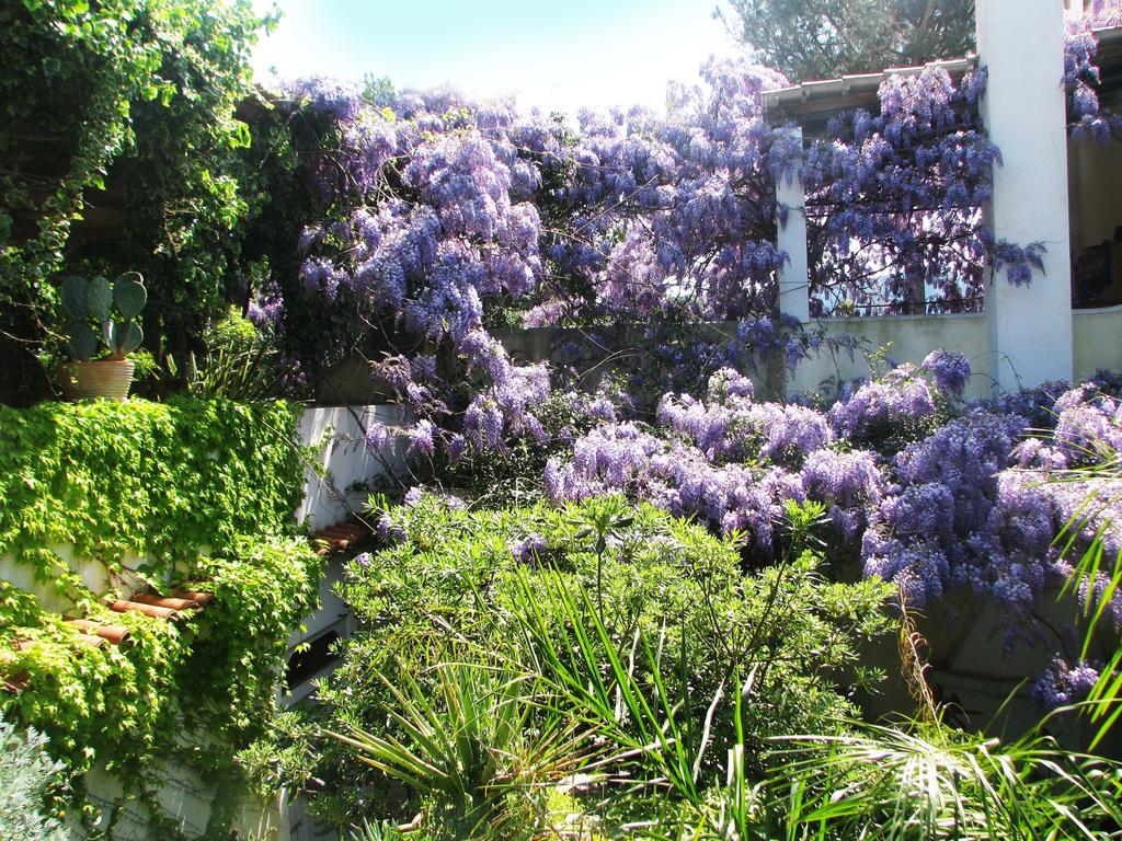 B&B La Salamandra Kitchengarden Forio di Ischia 外观 照片