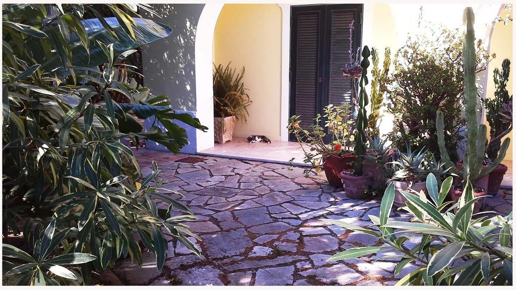 B&B La Salamandra Kitchengarden Forio di Ischia 外观 照片