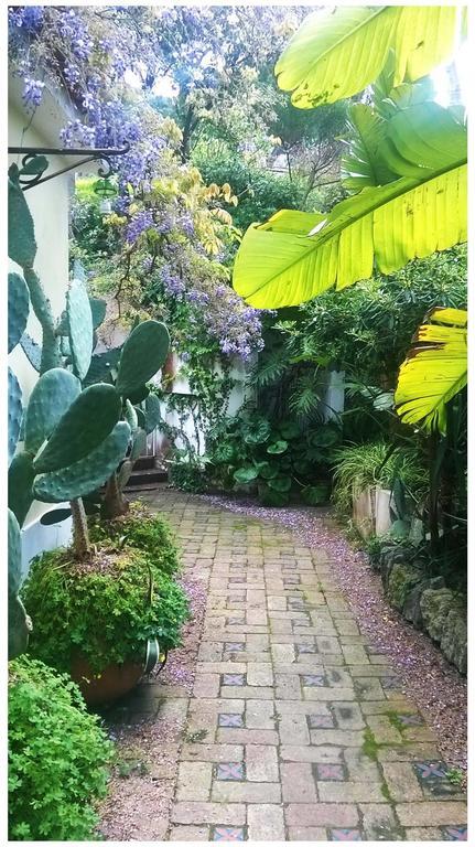 B&B La Salamandra Kitchengarden Forio di Ischia 外观 照片