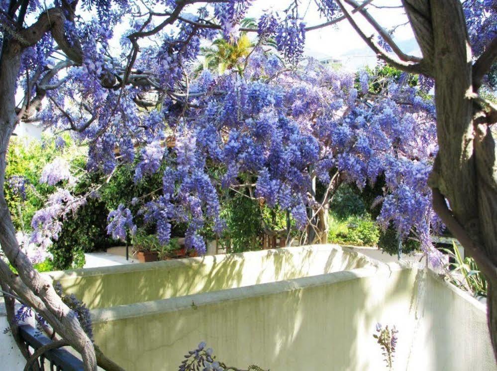 B&B La Salamandra Kitchengarden Forio di Ischia 外观 照片