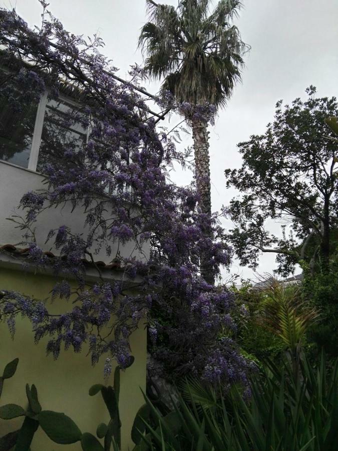 B&B La Salamandra Kitchengarden Forio di Ischia 外观 照片