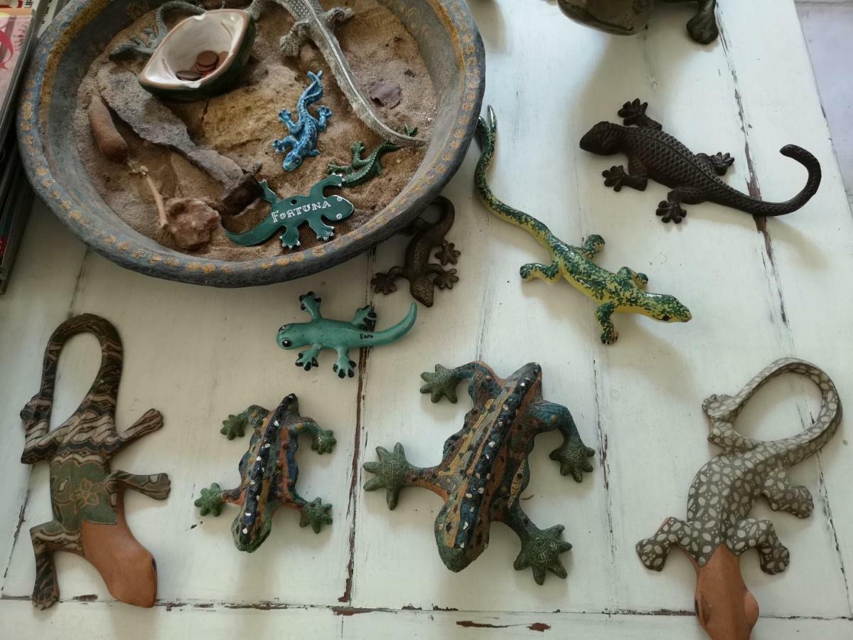 B&B La Salamandra Kitchengarden Forio di Ischia 外观 照片