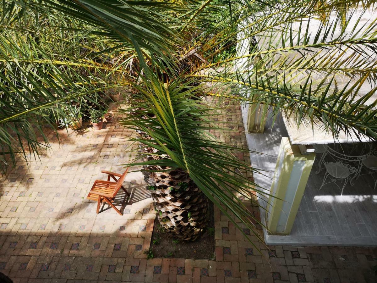 B&B La Salamandra Kitchengarden Forio di Ischia 外观 照片