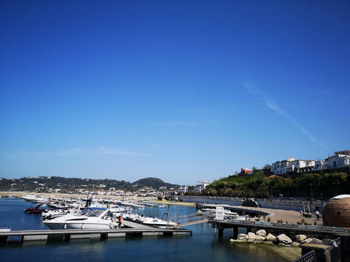 B&B La Salamandra Kitchengarden Forio di Ischia 外观 照片